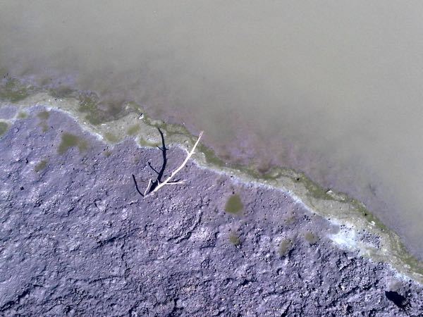 Image of dam water edge showing discolouring