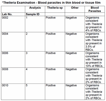 Table of blood smear results