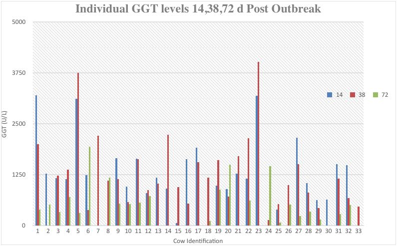 Facial eczema GGT at 14, 38, 72 days