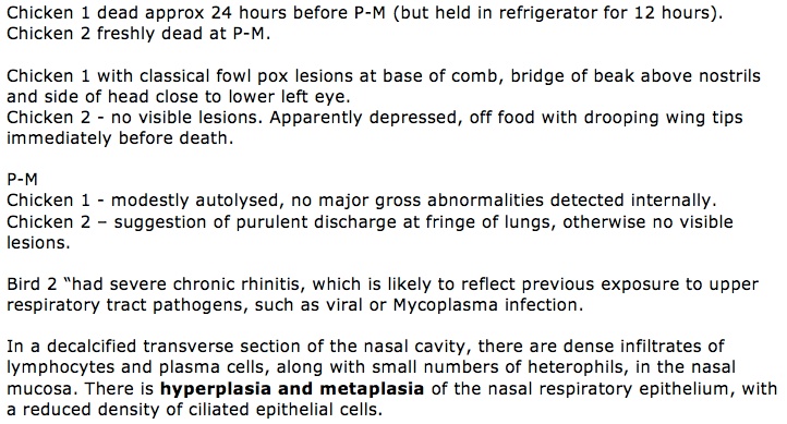 Excerpt of laboratory report