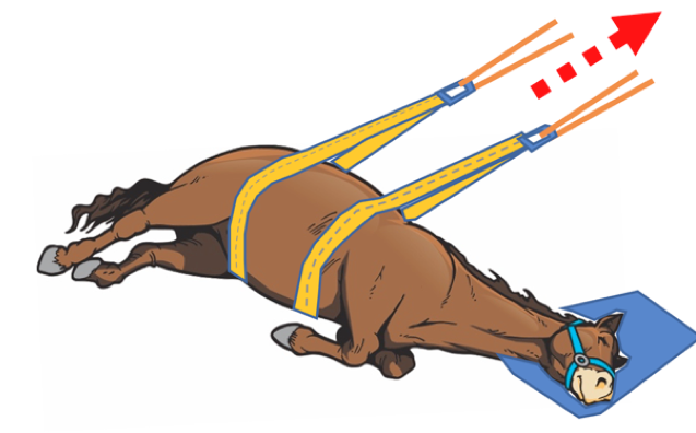 Image of horse in barrel skid