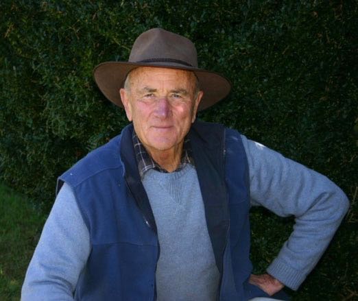 Portrait Peter Healy