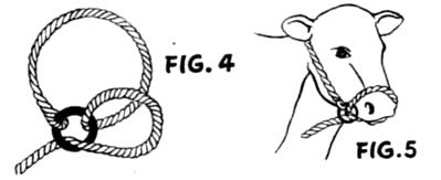 Line drawing of simple rope halter for cattle