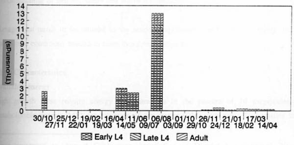 Graph of sheep worm burdens