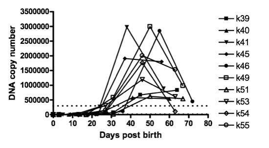 Graph of time course property 1