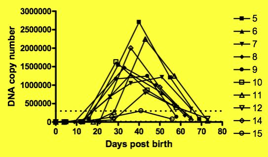 Graph of time course property 2