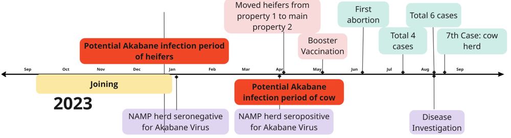 Timeline of infection period