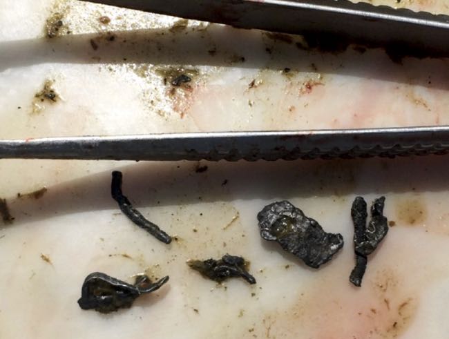 Image of small pieces of lead on hand