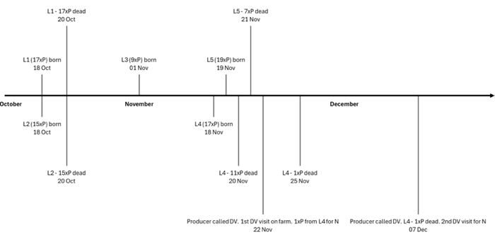 Timeline of investigation period