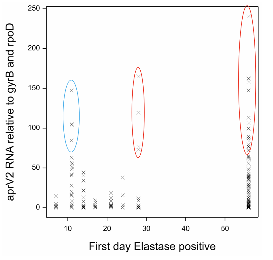 Correlation graph
