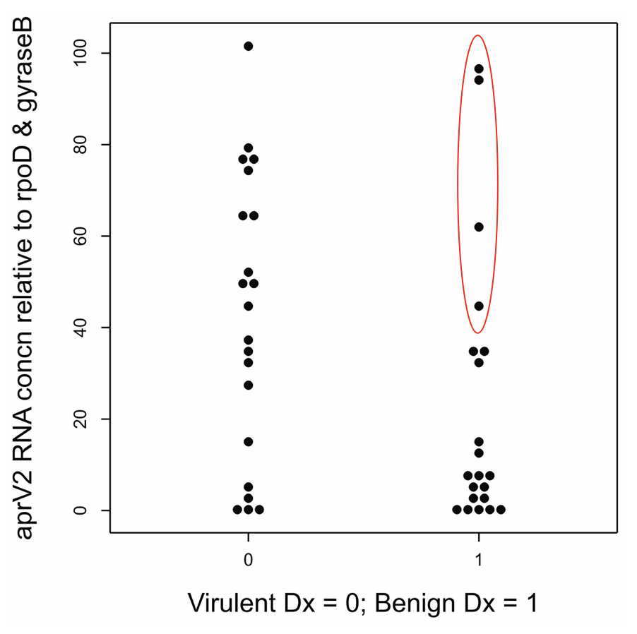 Dot histogram